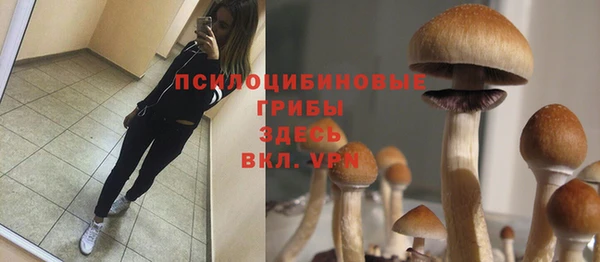 прущие крисы Алексеевка